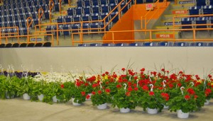 Donna's Greenhouses - Event Planning