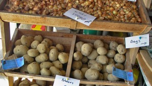 Donna's Greenhouses - Gift Shop
