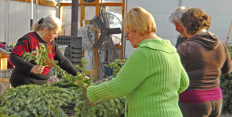 Donna's Greenhouses - Seasonal Items